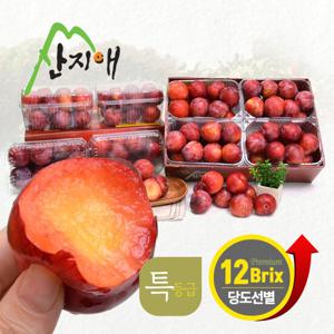 산지애 홍로센 자두 6kg (750g * 8팩)