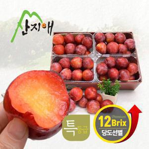 산지애 홍로센 자두 3kg (750g * 4팩)