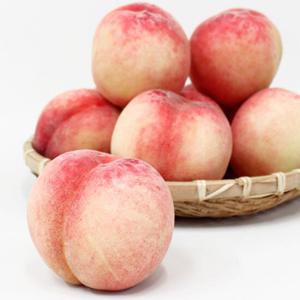 [삼송 농부의행복] 달콤한 경북 복숭아 4kg(19~20내)
