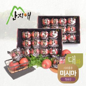 산지애 블랙라벨 사과 6kg (3kg*2박스, 총 16~24과)