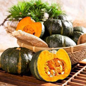 제주 미니밤[단]호박로얄과 [1과당270-700g] 2kg(보우짱)
