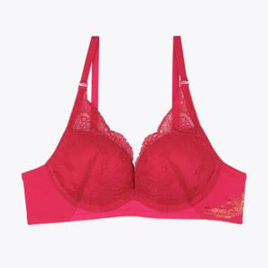 [보디가드]레드 메탈 드래곤 브래지어 BGWBZB01