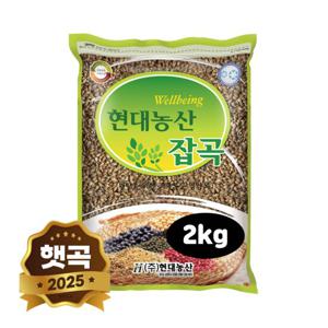 2025년 햇곡 국산 흑보리 2kg 검정보리