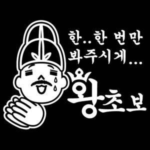 자동차 초보운전 아기스티커_왕초보 한번만 봐주시게