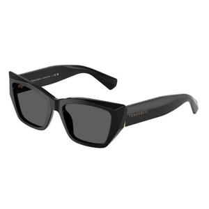 티파니앤코 선글라스 TF4230 8001S4 Black