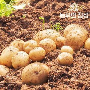[농부의정성] 포슬포슬 햇감자 5kg /10g-40g (소조림)
