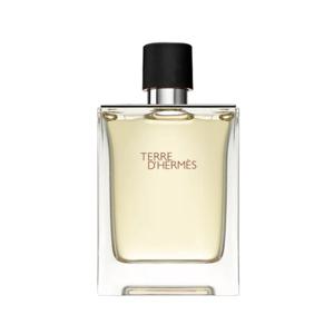 에르메스 떼르 데르메스 EDT 100ml