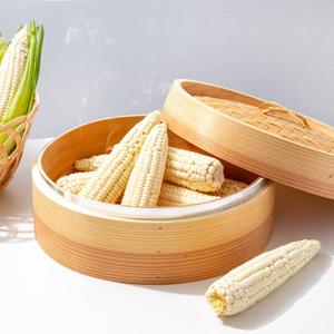 [미식한가] 강원도 찰진 미백 찰 옥수수 (12cm이상) 7개