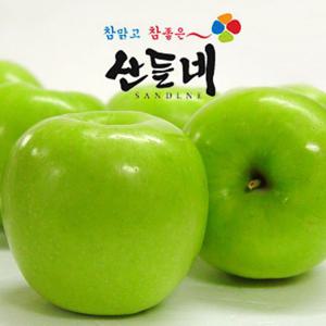 [산들네] 상큼 깔끔한 경북 햇아오리 사과 2.5kg 14과내외