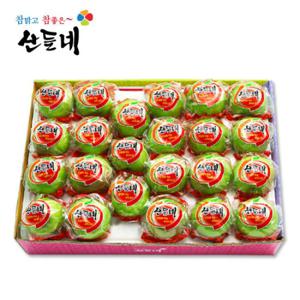 [산들네] 24년햇 껍질째 먹는 경북 아오리세척사과 4.5kg 26과내