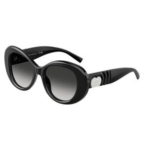 티파니앤코 선글라스 TF4228 80013C Black