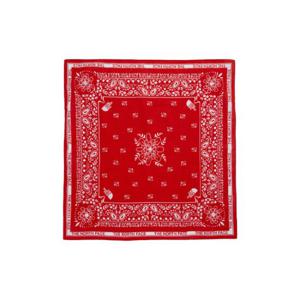 [노스페이스]노스페이스 공용 BANDANA_PAISLEY 80S RNA5BQ90D-RE