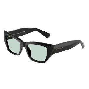 티파니앤코 선글라스 TF4230 8001D9 Black