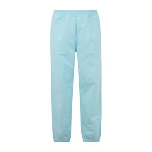 스투시 스톡 로고 팬츠 116550SP BLUE