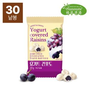 하루견과 달콤쫀득 요거트건포도 20gx30봉