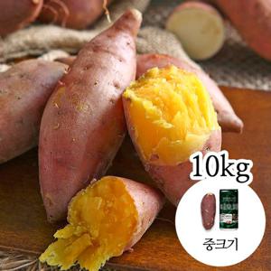 [감동 고구마]해남 세척 꿀고구마 10kg 중크기