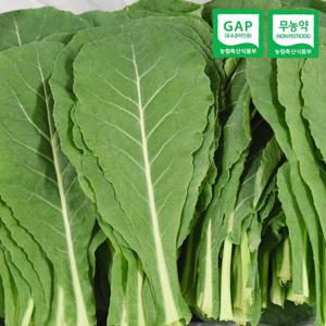 [생산자직송] 충주 유기농 케일 1kg