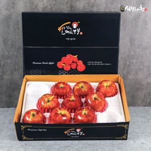 명절 선물세트 경북 명품사과 3kg (특대과 7과내)