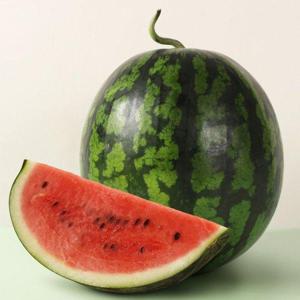 갤러리아_[후레쉬데이] 달콤하고 시원한 국내산 꿀 수박 1통 (6kg 이상)