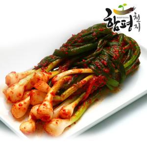 [푸른들] 양념한가득 전라도 함평김치 파김치 3kg