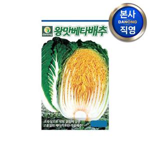왕맛베타 배추 씨앗 300립 . 야채 채소 가을 김장 텃밭 베타카로틴 씨 종자.