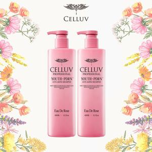 [파격가]CELLUV 셀럽 PDRN 샴푸-대용량 2개(로즈향)