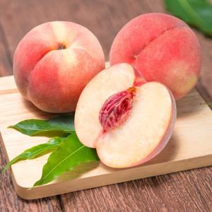 25년 납작복숭아 대극천복숭아 특품2kg(75-100g/20-26과)