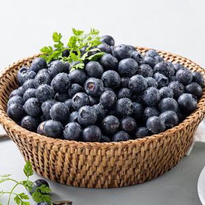 국내산 유기농 생 블루베리 특대과(16-18mm) 500g