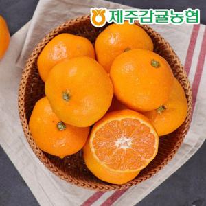 [제주바람] 제주농협 직송 제주 하우스감귤 2.5kg (소과/44~55과)