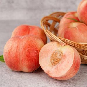 [당일선별] 대극천 반납작 복숭아 1kg (10과내외)