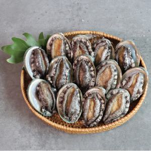[산지직송] 청경 활전복 왕특大사이즈 (100g ~ 120g) 15미 (총 1.5kg이상)
