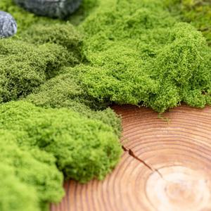 인조 이끼 테라리움 (100g) 3컬러 인테리어 조화 장식 소품 원예 만들기 diy 재료