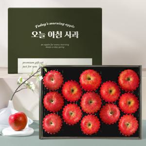 [오늘아침사과] 사과 선물세트 3kg 13과