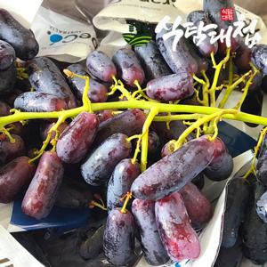 식탐대첩 고당도 블랙 사파이어 포도 4kg