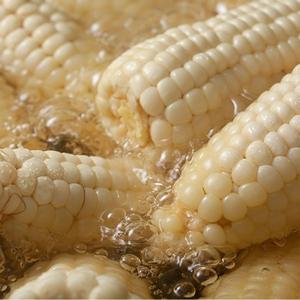 [팜쿡] 산지직송 괴산 대학찰옥수수 17cm 내외 / 30개