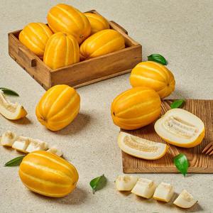 [팜스프링] 당도선별 성주 꿀참외 정품 10kg 중과