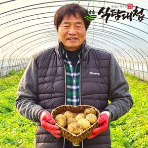 갤러리아_식탐대첩 국내산 포슬포슬 맛좋은  감자 5kg 대