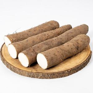 안동 장마 1kg 상품