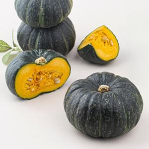제주 미니밤[단]호박로얄과 [1과당270-700g] 4.5kg