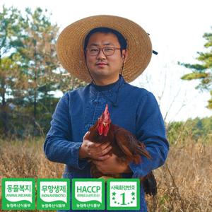 [자연농원] 난각번호1번 자연방사 도품란 동물복지 유정란 20구