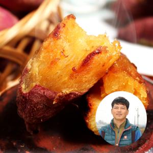 [산지장터 고구마] 전남 무안 김재민님의 황토밭 꿀고구마 10kg (중상/50~100g)