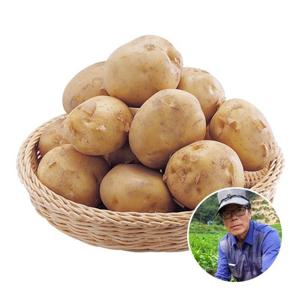 홈앤_[산지장터] 전남 보성 김동식 님의 감자 대사이즈 10kg