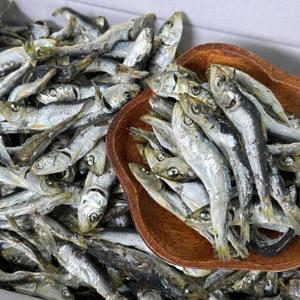 남해 국물용 햇 청어 솔치 정어리 멸치 1.5kg 무료배송