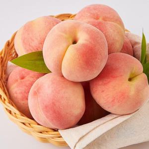[맛딜] 산지직송 아삭이 딱딱이 백도 복숭아 4kg (14-16과내외)