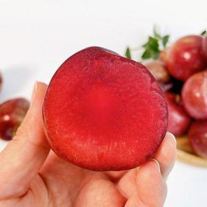 갤러리아_[맛딜] 아삭하고 달콤한 피자두 혼합과 1kg