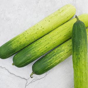 [농부마음] 아삭아삭 백오이  백다다기 10개