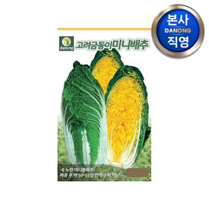 고려금동이 미니배추 씨앗 300립 . 야채 쌈 채소 김장 겉절이 텃밭 씨 종자.