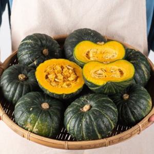[대한민국농수산] 산지직송 제주 미니 단호박 정품 밤호박 특품 10kg