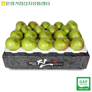 [문경APC] 새재의 아침 문경 햇 청사과 아오리 썸머킹 5kg 14-19과내 / 실중량