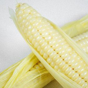 [농부마음] 괴산 대학 찰옥수수 30개입 특품